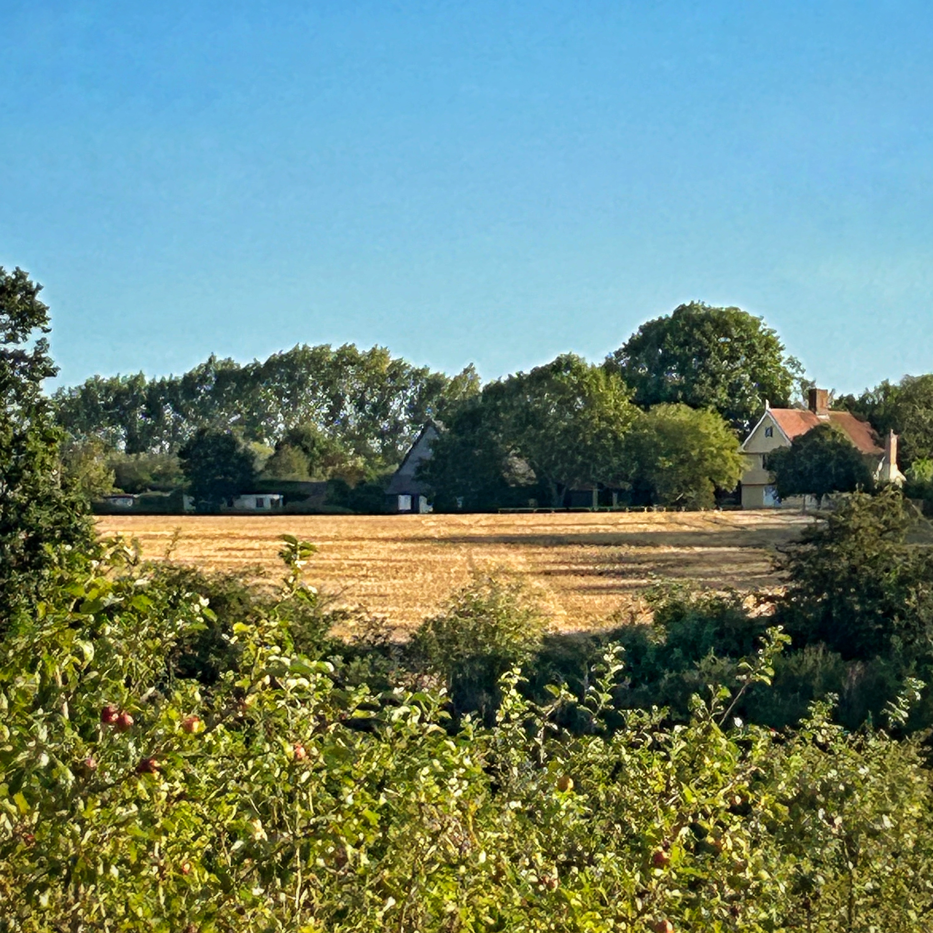 Suffolk Image 14